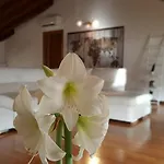 多尼采蒂皇家住宿加早餐旅馆 招待所 3*