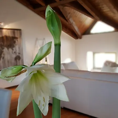 Donizetti Royal Guest house Bergamo