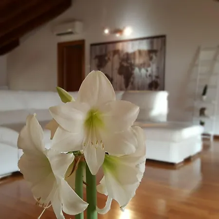 Donizetti Royal 3* Μπέργκαμο