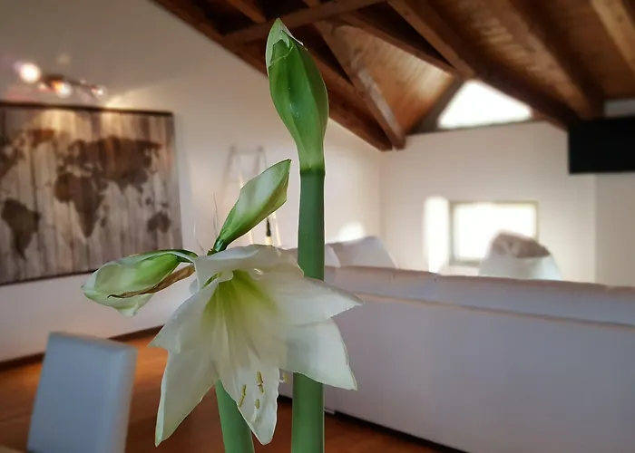 Guest house Donizetti Royal Bergamo