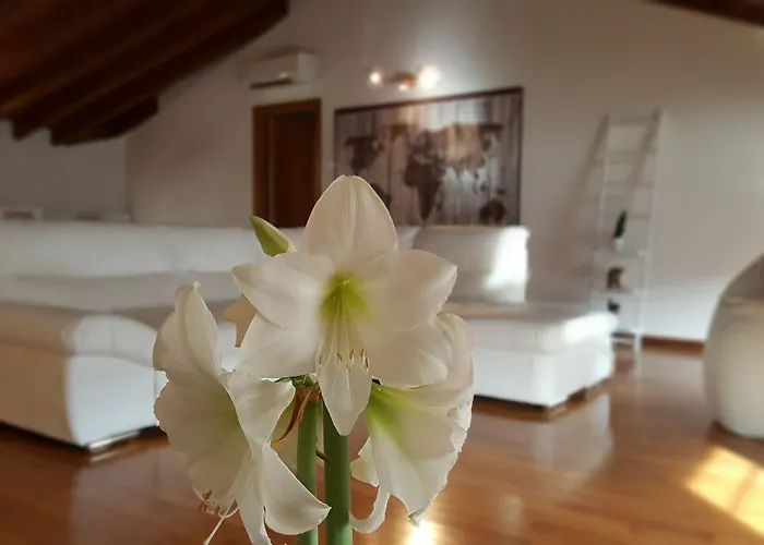 Donizetti Royal 3* Bergamo