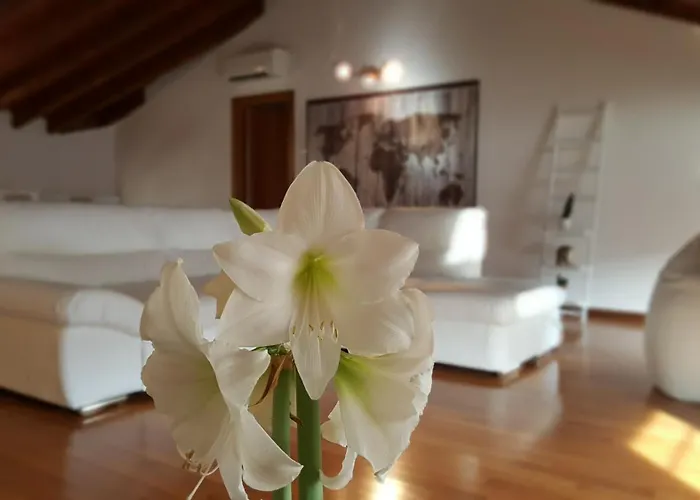 Donizetti Royal Guest house 3*